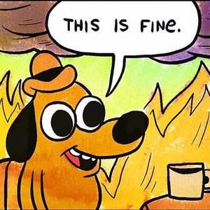 Meet your Posher, Mindy